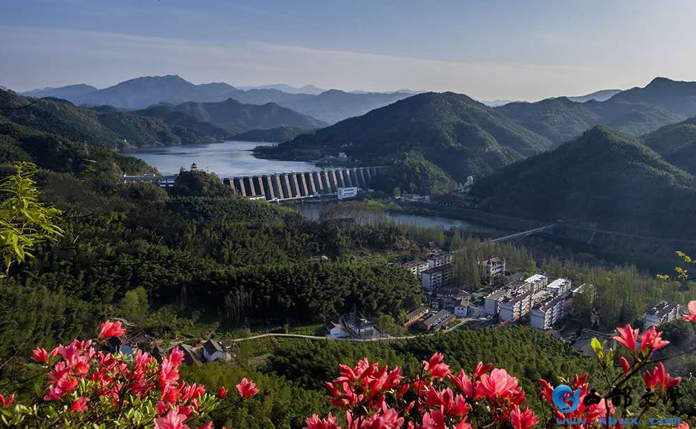 微信图片_20200304090022.jpg