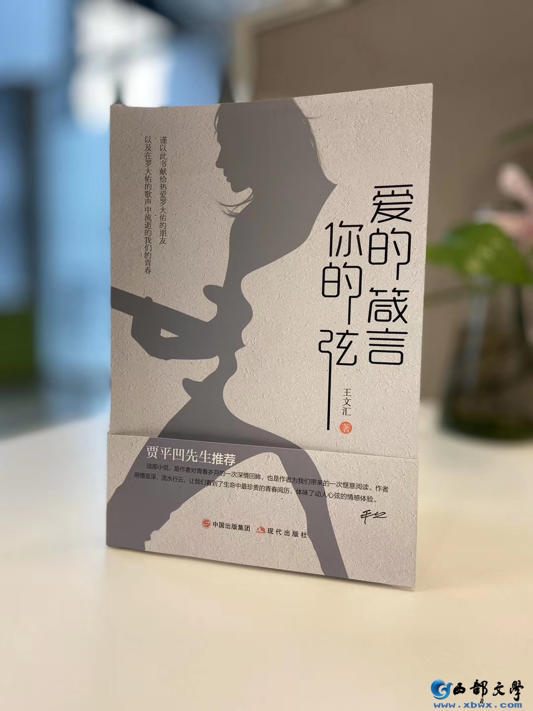 长篇小说《爱的箴言 你的弦》