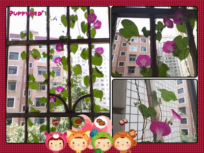 微信图片_20200709124018_副本.jpg