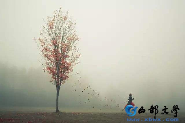 d015adaa06ec01ab25a6ab1a22a10712.jpg