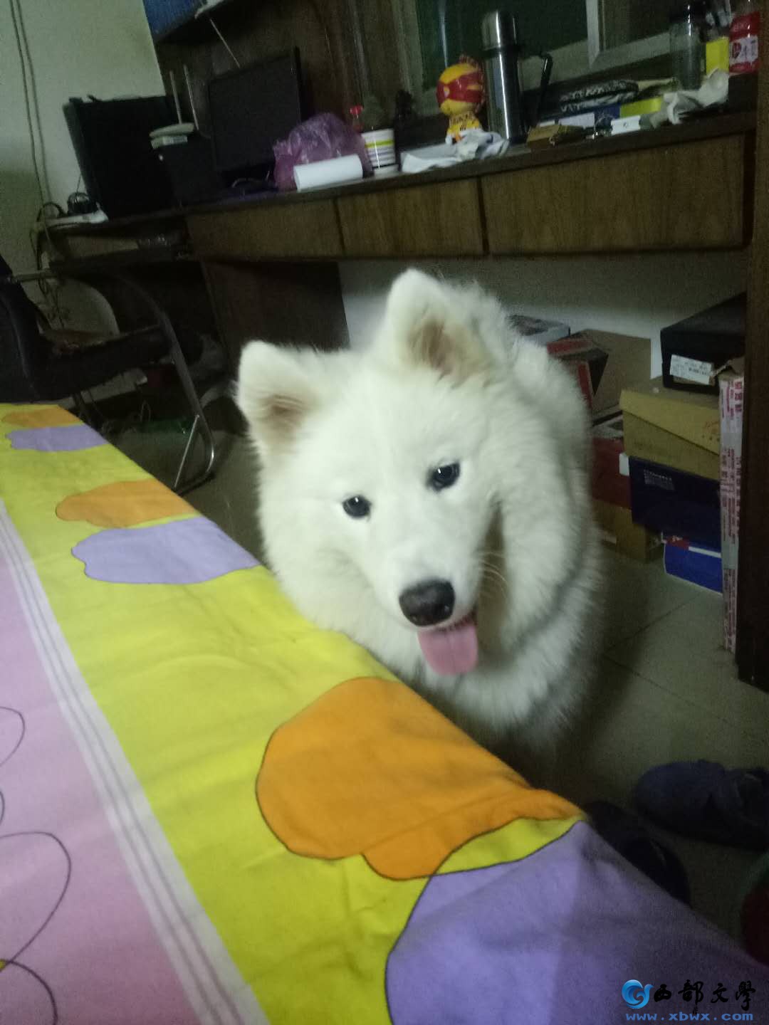 微信图片_20200817093400.jpg