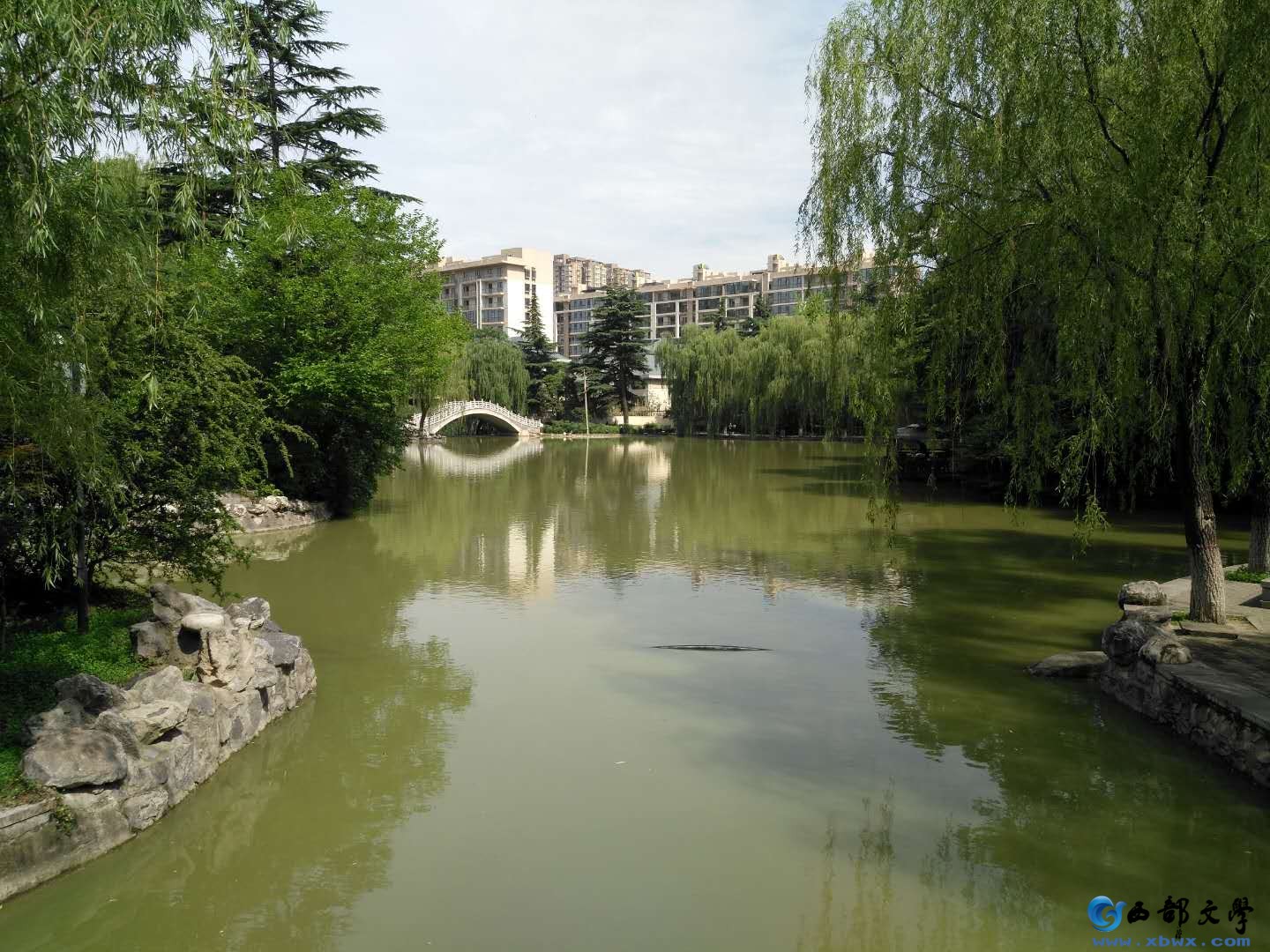 微信图片_20190702113758.jpg