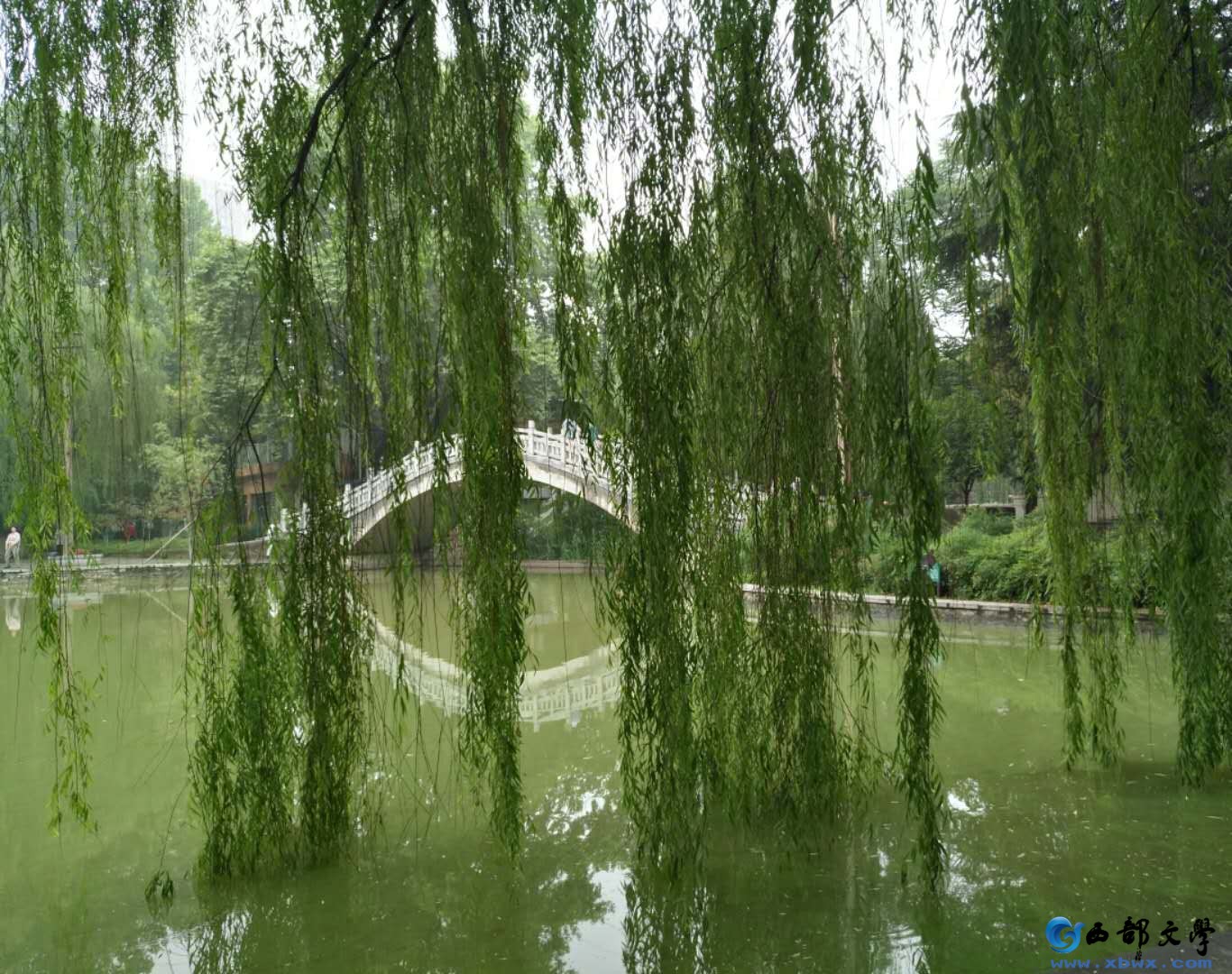 微信图片_20190622210730.jpg