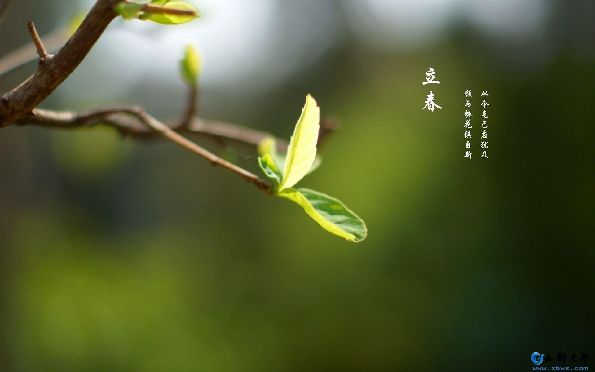 src=http___uploadfile.bizhizu.cn_up_38_b9_12_38b912cf1d59f53cdf7144a7711f93f7.jp.jpg