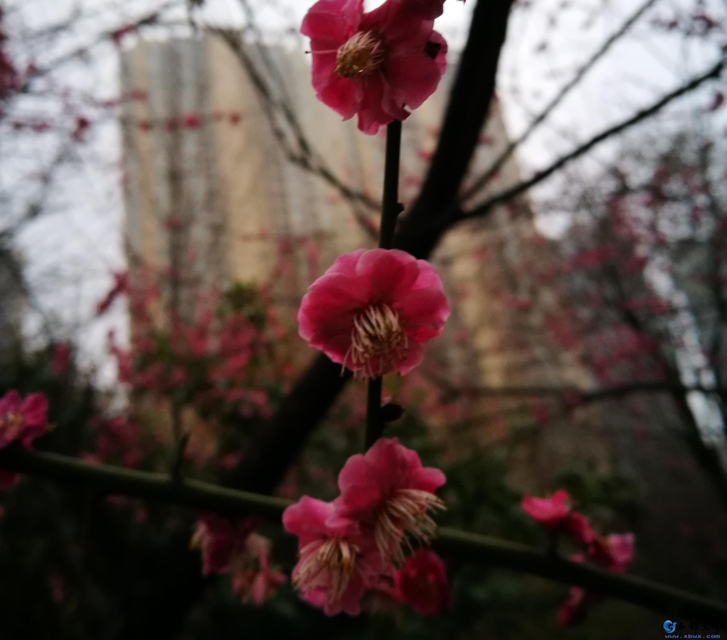 微信图片编辑_20210226125024.jpg