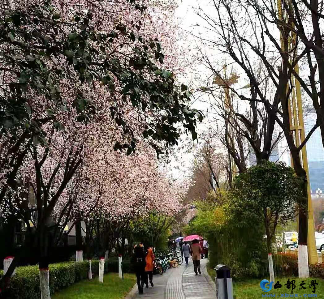 微信图片_20210308130418.jpg