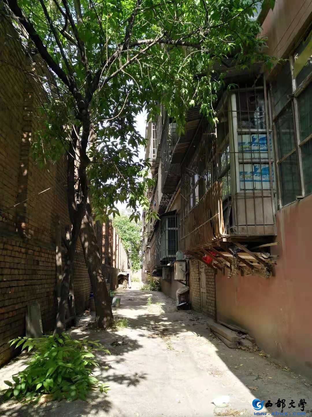微信图片_202105291128108.jpg