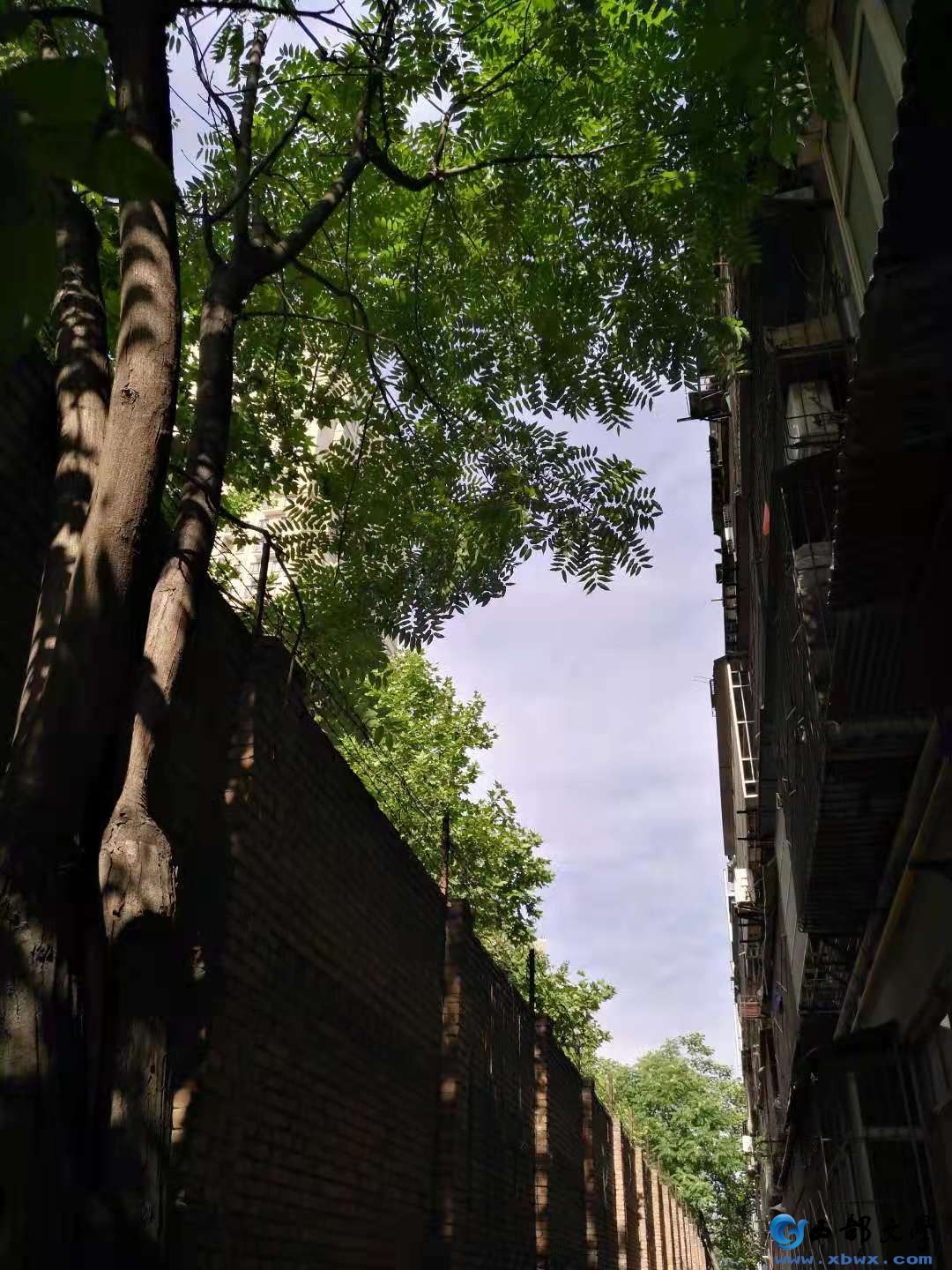 微信图片_202105291128101.jpg
