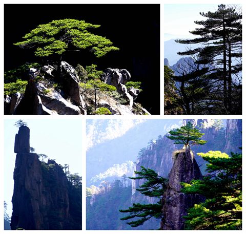 NeoImage_副本.jpg