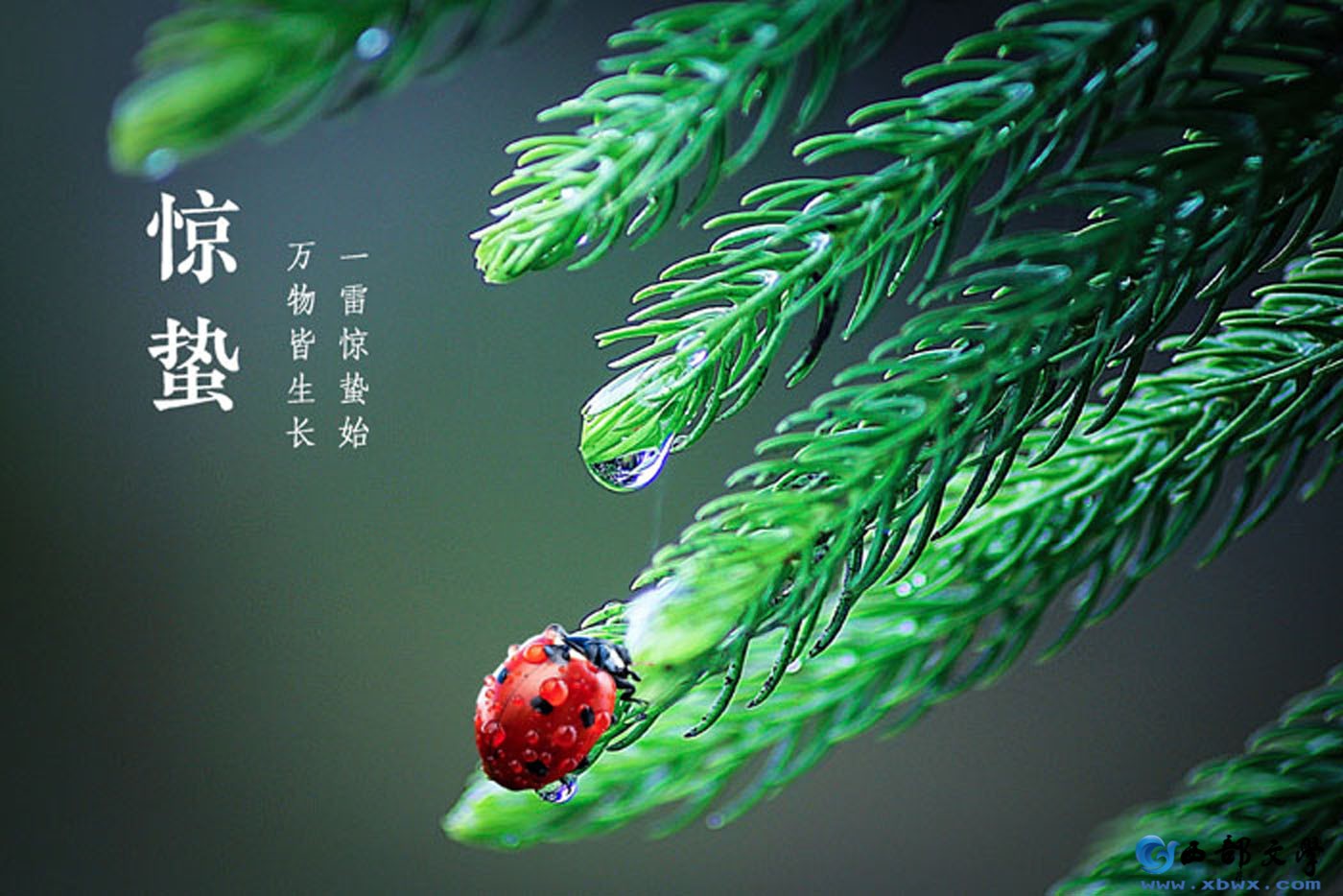 src=http___hec1688.d211.51kweb.com_uploadfile_image_20200429_2020042910355402540.jpg