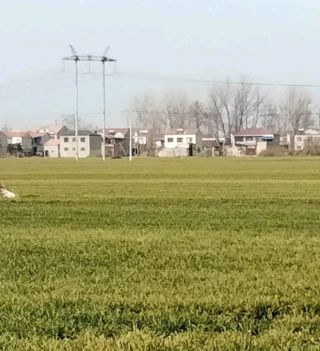 IMG_20220121_214659.jpg
