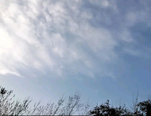 IMG_20220122_220100.jpg