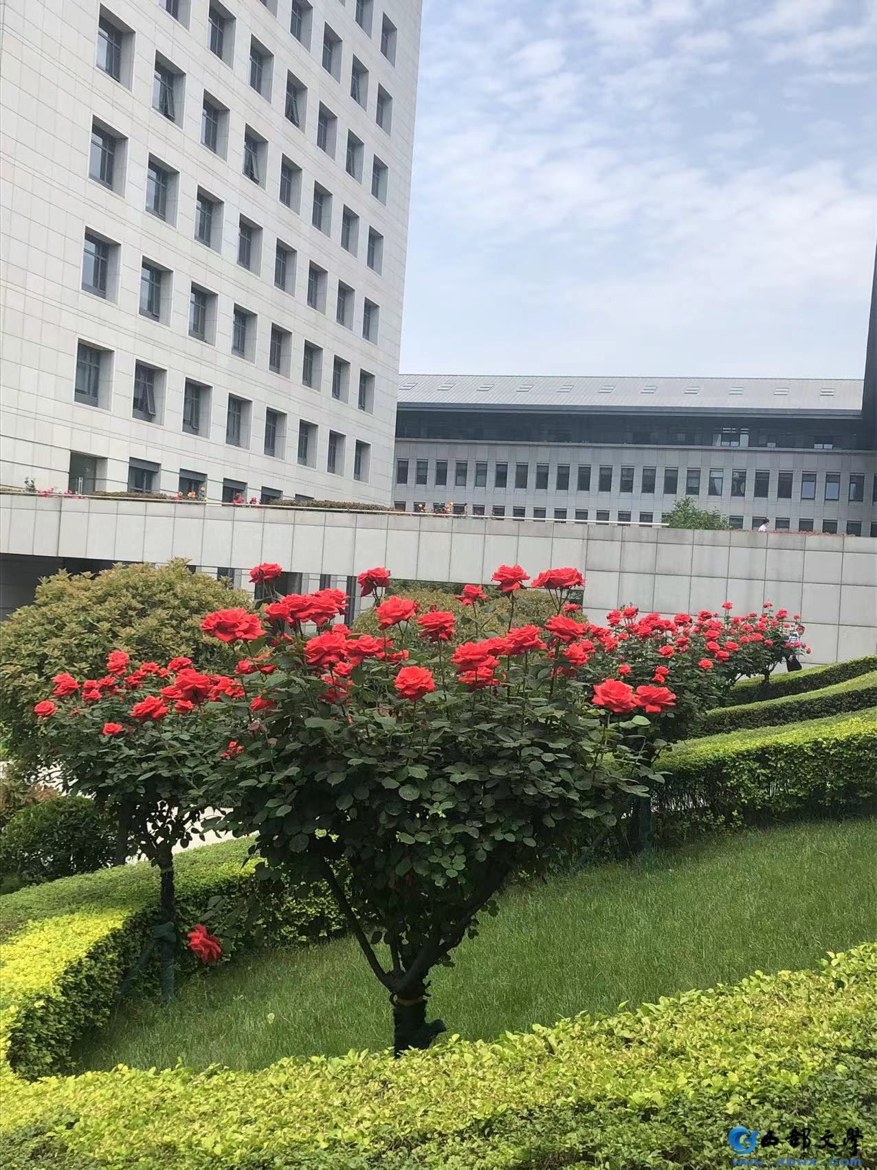 微信图片_20220429124528.jpg