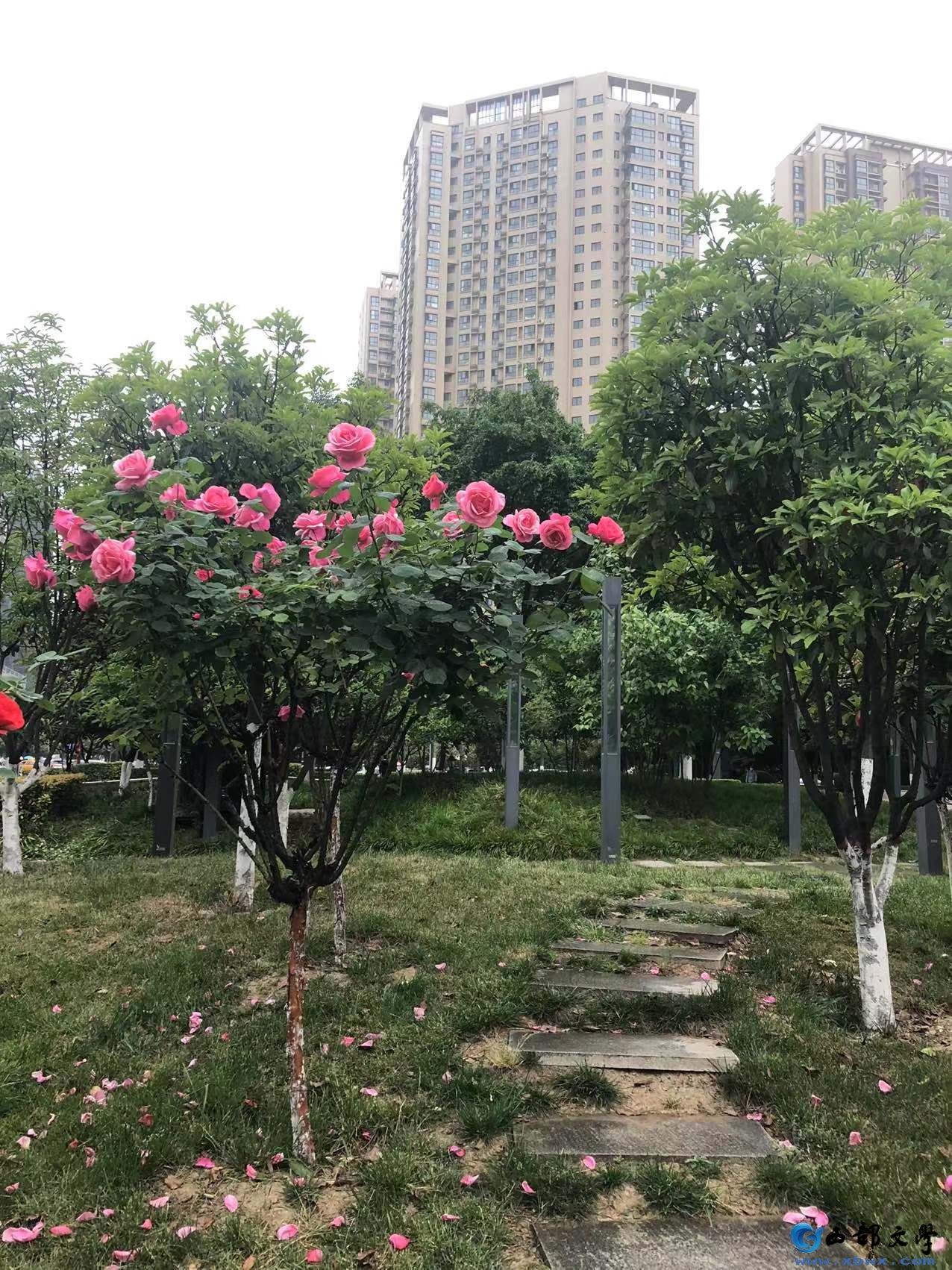微信图片_20220505170419.jpg