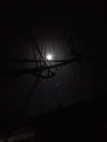 IMG20210130234502.jpg