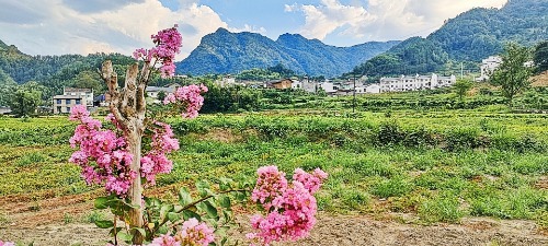 IMG_20220811_183824.jpg