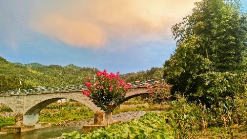 IMG_20230804_193838.jpg
