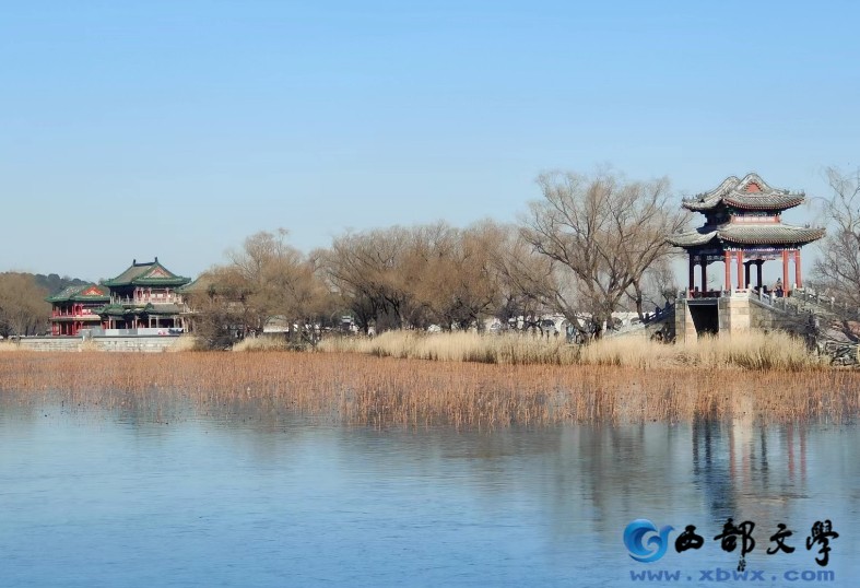 微信截图_20231106112245.png