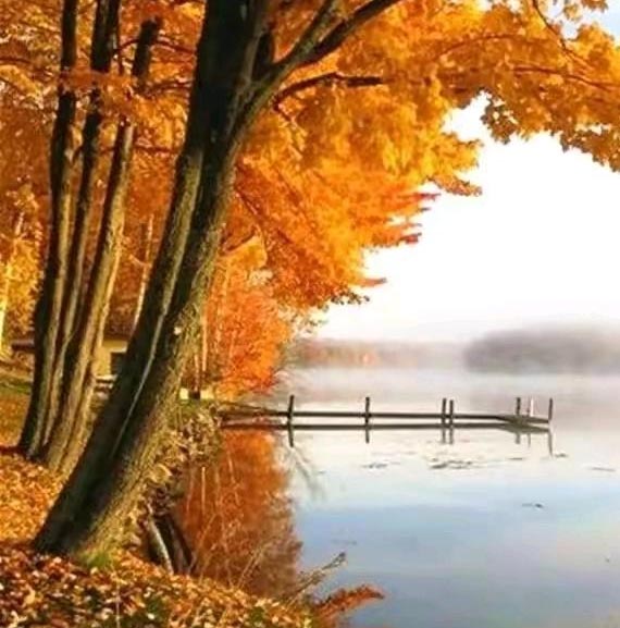 5c826a1ad1968aa91dd5b46881a6445 拷贝.jpg