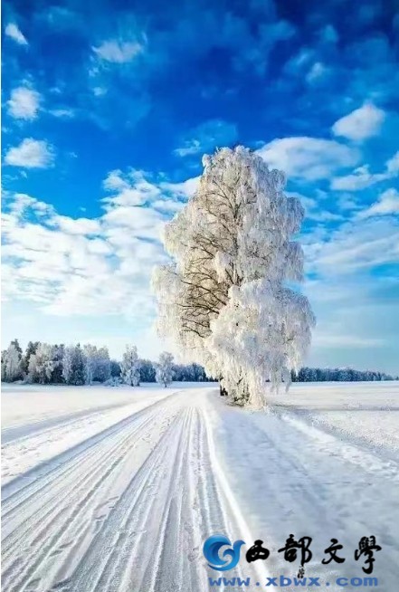 微信截图_20240203235907.png