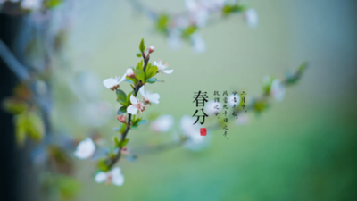 t0115cb1eaf60091599.png