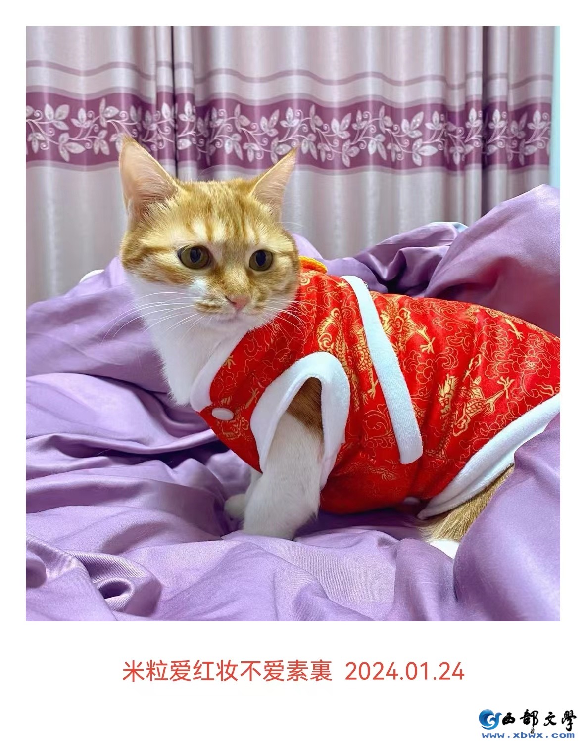 微信图片_20240416191335.jpg