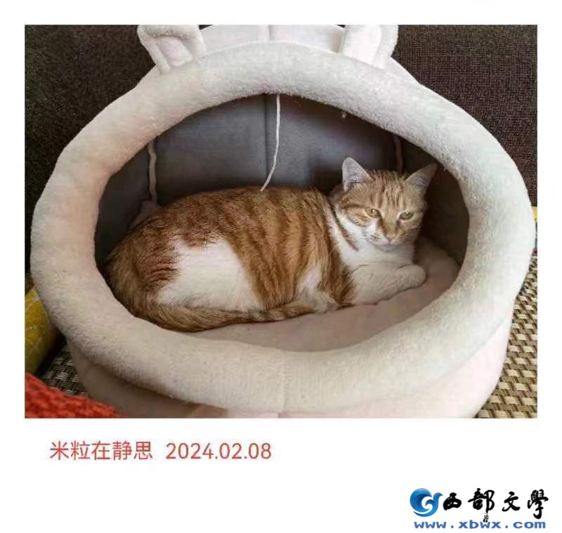 微信图片_20240416191332.jpg
