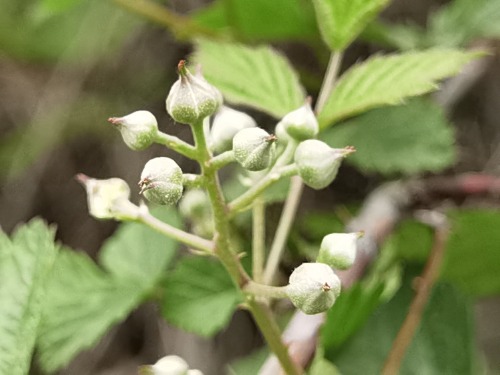 xs_1713580902482.jpg
