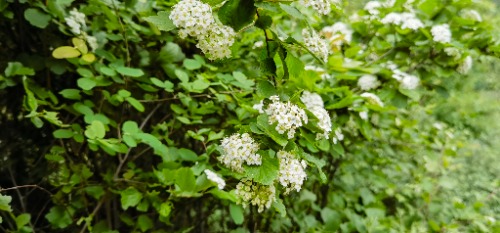 IMG_20240420_150658.jpg