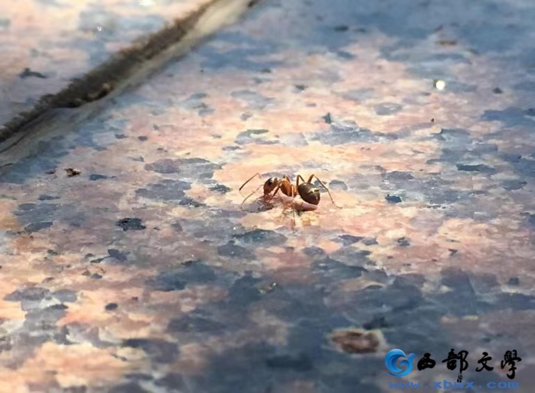微信图片_20240607110348.jpg