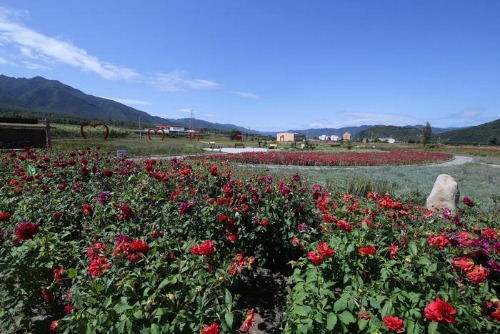 img-1719120393053img-w700d1q75cms.jpg