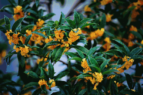 3.gif