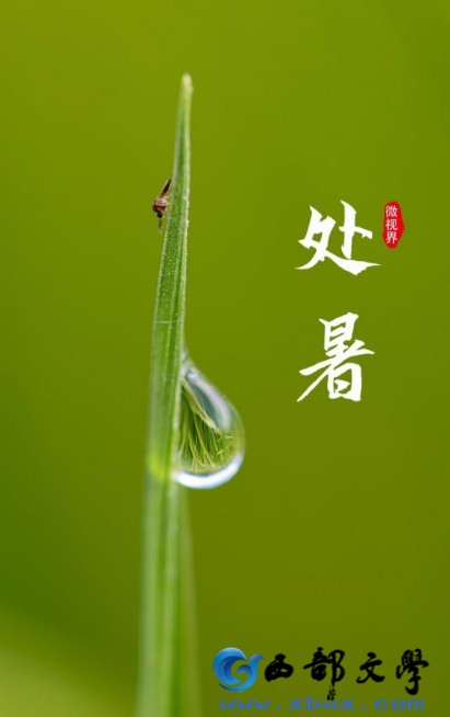 微信截图_20240821225222.png