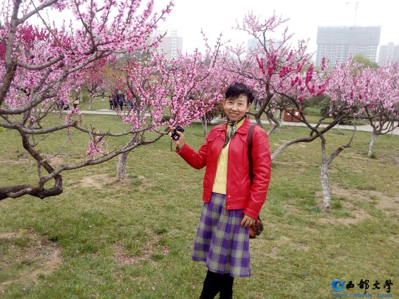 QQ图片20170409130832.jpg