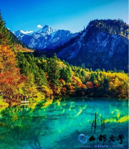 微信截图_20241029232020.png