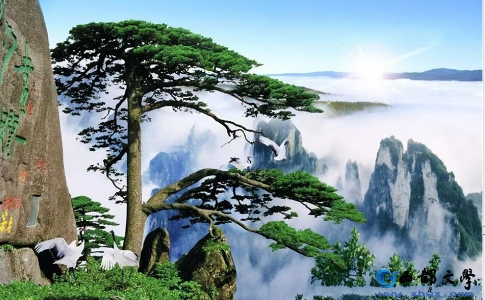 微信截图_20241113085755.png