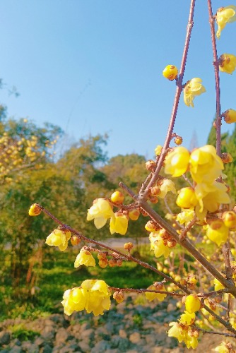 MEITU_20250129_132119662.jpg