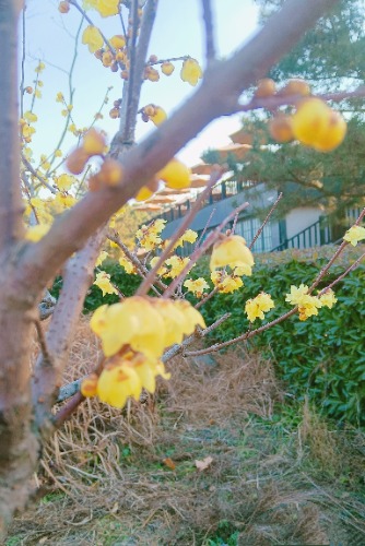 MEITU_20250129_131849045.jpg