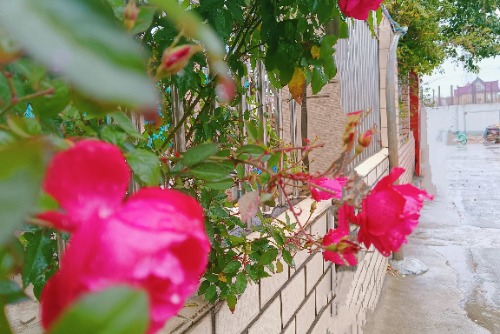 MEITU_20250131_151416165.jpg