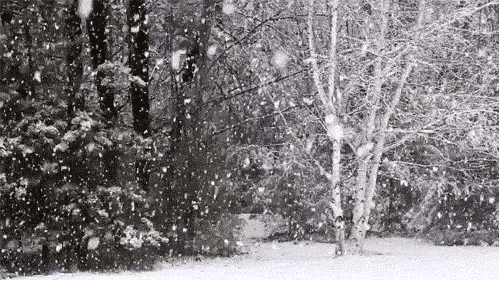 7.gif