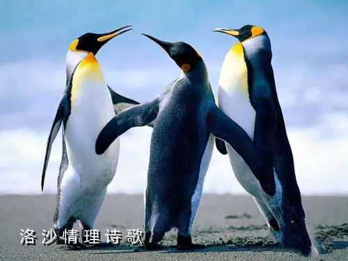 2.webp.png