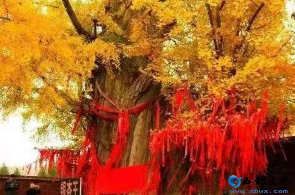 微信截图_20250204164500.png
