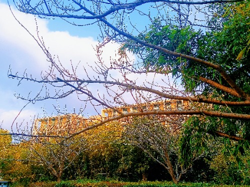 MEITU_20250207_080726094.jpg