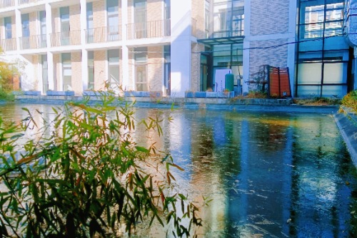 MEITU_20250208_091609916_edit_1712161625714590.jpg