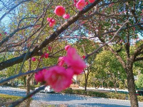 MEITU_20250208_143929387.jpg