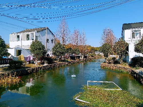 MEITU_20250209_104604852.jpg
