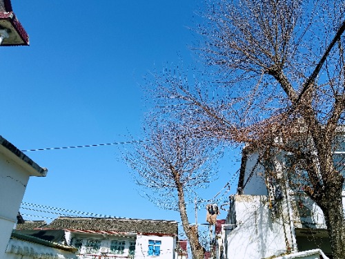 MEITU_20250209_104638013.jpg