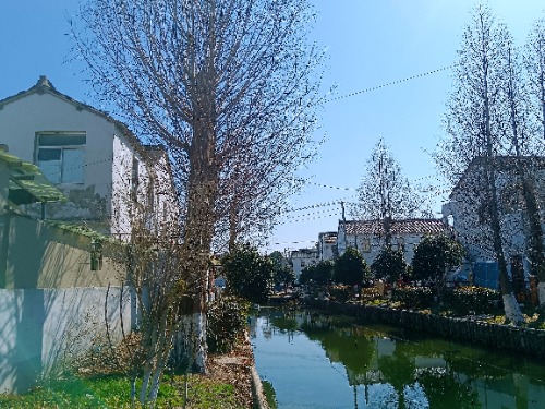 MEITU_20250209_131302704.jpg