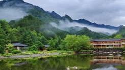 IMG_20200715_192427.jpg