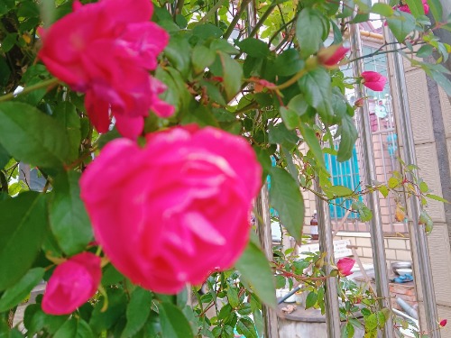 MEITU_20250215_104204139.jpg